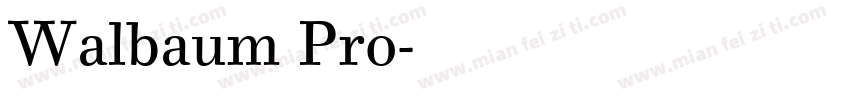 Walbaum Pro字体转换